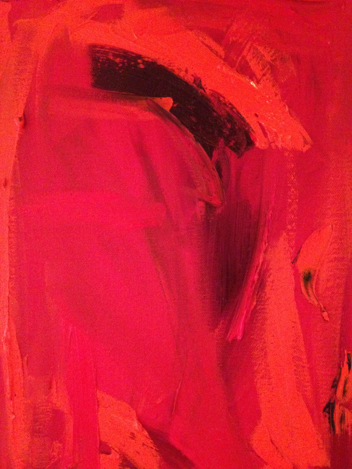 Red Rush II – original painting by Roberta Heslop – image 7
